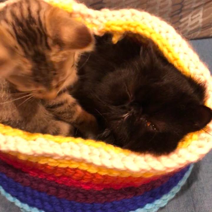 Bde0794f 14ab 436d 8f75 b5874cc91f4c 1545145352815