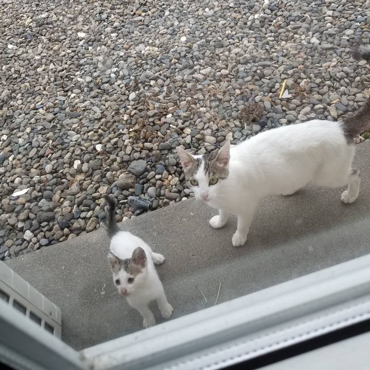 Bde08815 6fe7 4309 a1c3 b6daabfd9f6a 1629715606223