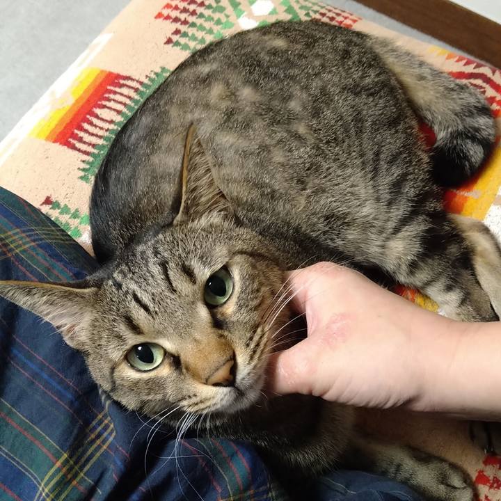 Bde0d48e 358b 44dc abf5 620e518fad5a 1628684788333