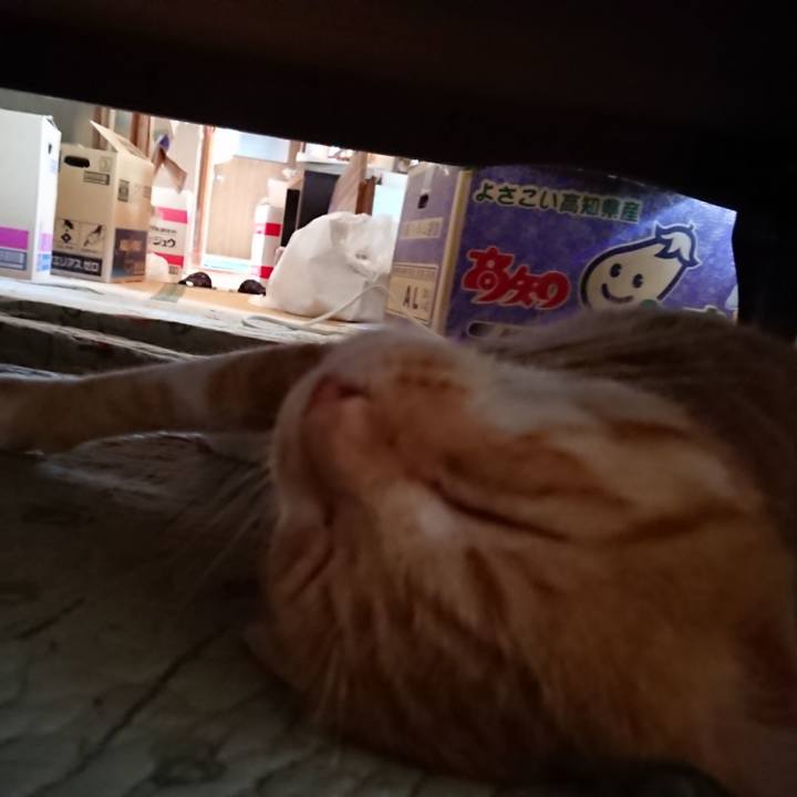 Bde140e4 c611 40f4 bade b71391e09c71 1565392987104