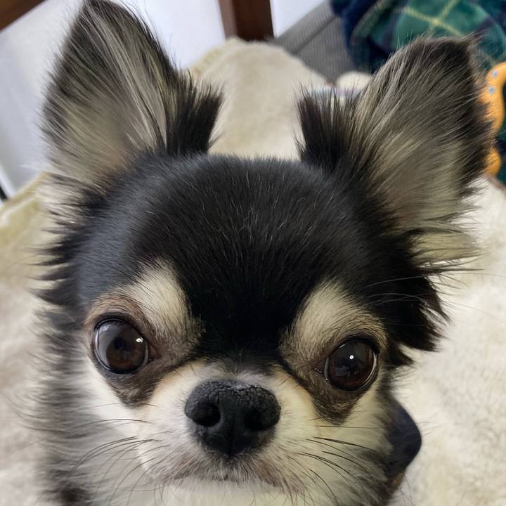 Bde14e7d bde2 4985 8db9 960a49bec75a 1647127415267