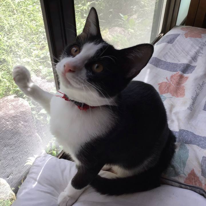 Bde17493 8128 40d2 a438 04ea1dbe3c13 1630987222142