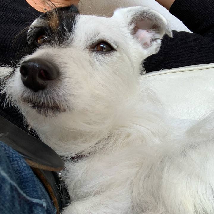 Bde175bb 8384 4a2e aa32 ba5417f25e2d 1585886223127