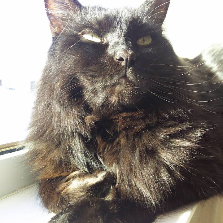 Bde180a5 ff0e 45b8 8b95 76fb86018c6a 1515806459670