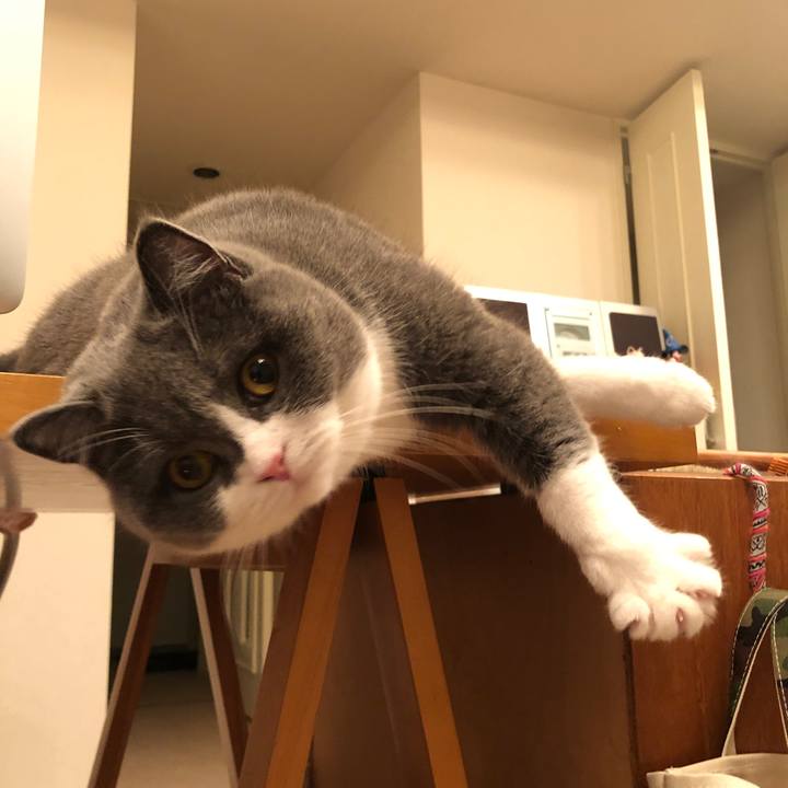 Bde1b775 7d5b 4c0b b109 dc9081f28a35 1544232016367