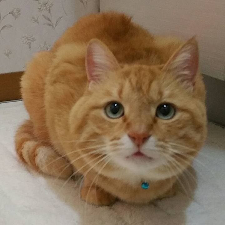 Bde1c1e5 417d 49c6 a74b 53602960b6d7 1579271752022