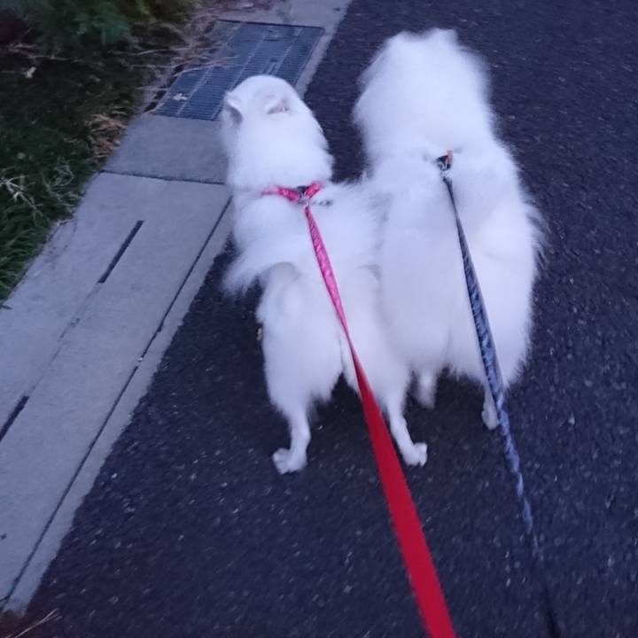 Bde1e9c6 f69d 4803 b851 fadc928b2ca6 1559733874047