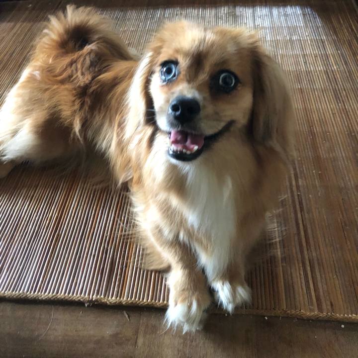 Bde23d89 ab2c 4cbc b45e 9ab2ee78b5b0 1533591321873