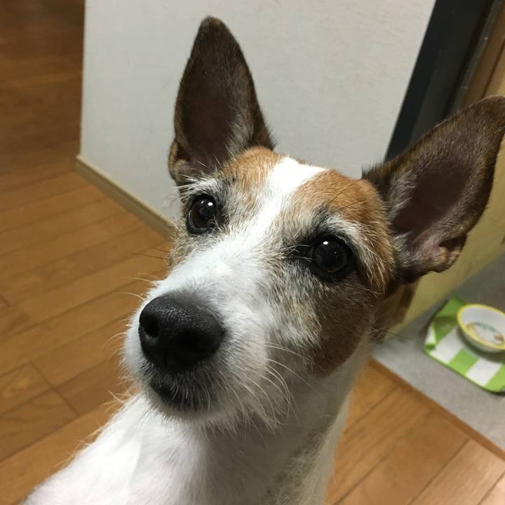 Bde257e2 ae22 44a2 bf53 b603f8490951 1570841156799