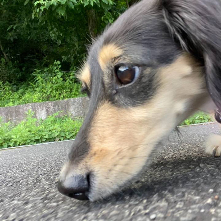 Bde26ca9 7a49 4208 a6ca f960f898d7cc 1752371738793