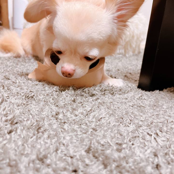 Bde27cc7 92f1 43dd 9518 aa17853b26ee 1659609794446