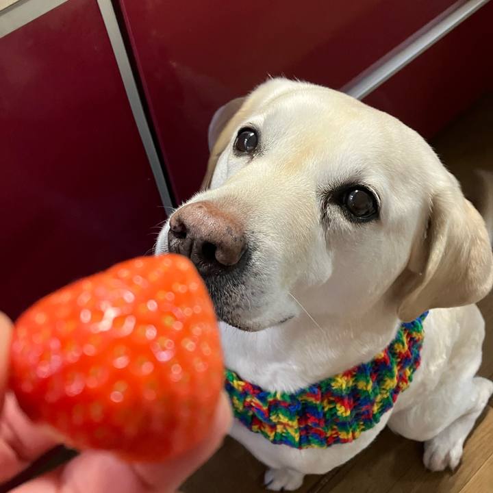 Bde2dfd4 a029 405b 8d8a 52444d82359e 1674947581555