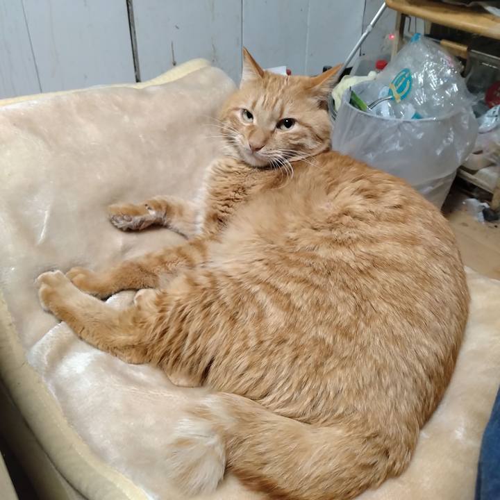 Bde2e536 2550 4449 9004 b3ad1105502c 1706306666083