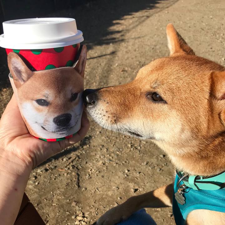 Bde2f9c4 a4b4 4320 97d4 542592c20a87 1573536312061