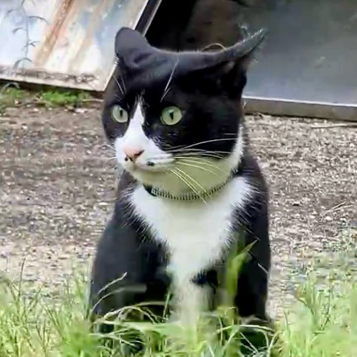 Bde33618 f0ee 427d 84da 5139f4d32892 1729408406383