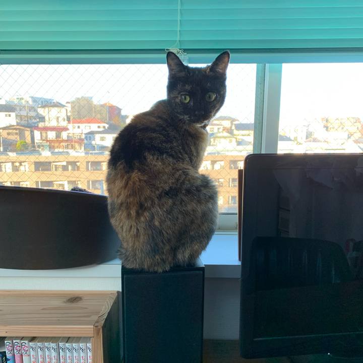 Bde388c5 0def 405d ace8 c9cfe9ab5991 1577403725867