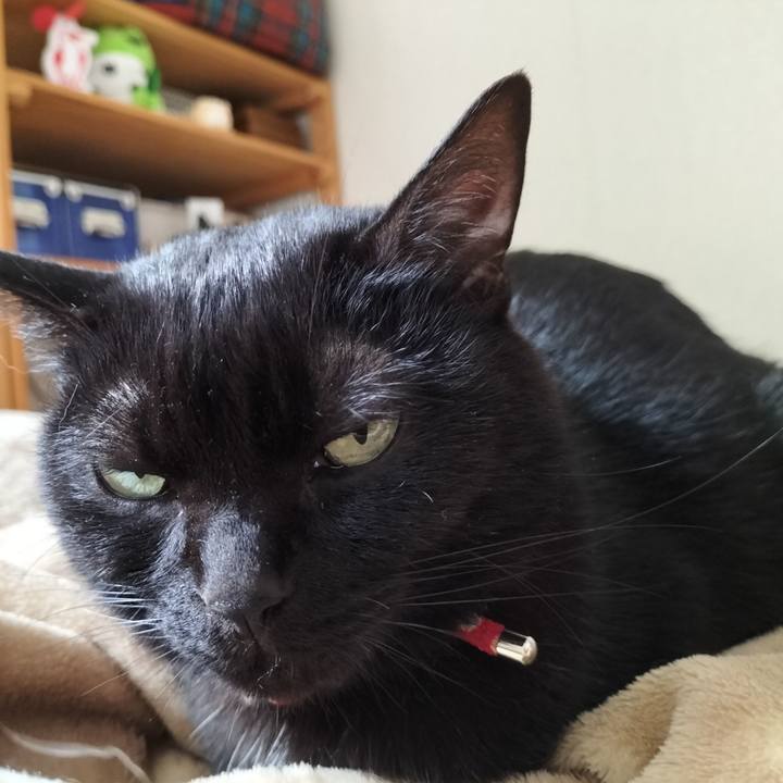 Bde3d726 17da 4480 8ad2 469b90d8918b 1652654880126