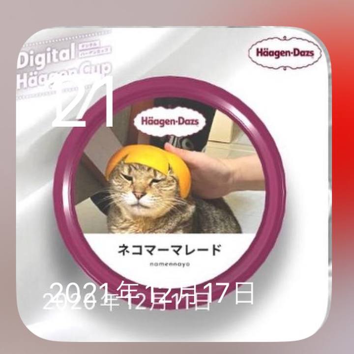 Bde3eaea b044 4d4e a02e 98d2eb761e68 1703152366545