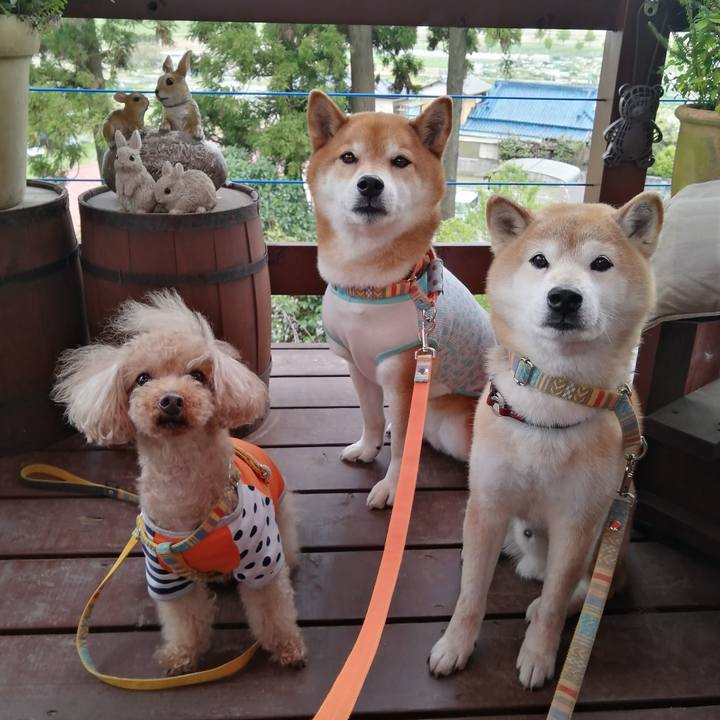 Bde3f077 87d9 464c 8c15 a06b441add54 1681460514135