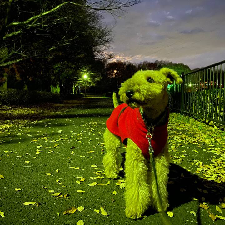 Bde40596 61c2 4836 976a ad2828a12557 1576146881203