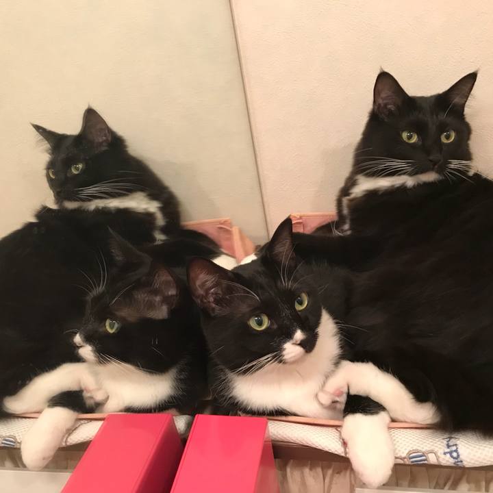 Bde424f9 0ce9 4305 baba cd258998dd67 1510094863557