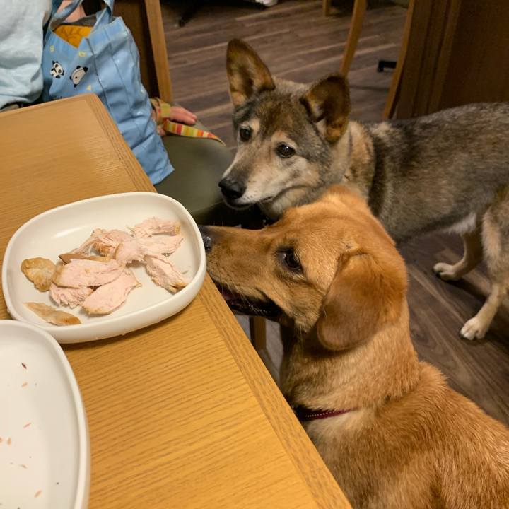 Bde43e28 50f7 4e79 8ae0 73994b5fe088 1561808033798