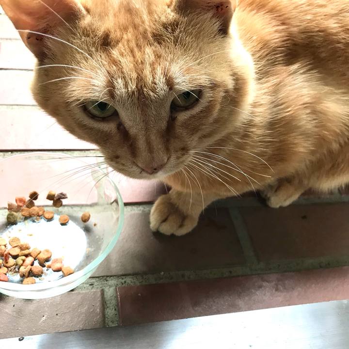 Bde4435a 67b0 41ed aa74 dbbd277ef7bc 1623830603824