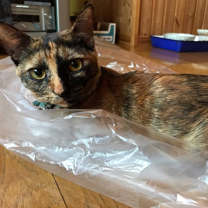 Bde49c22 78a1 4156 8c4f 6d430395eca0 1629792422322