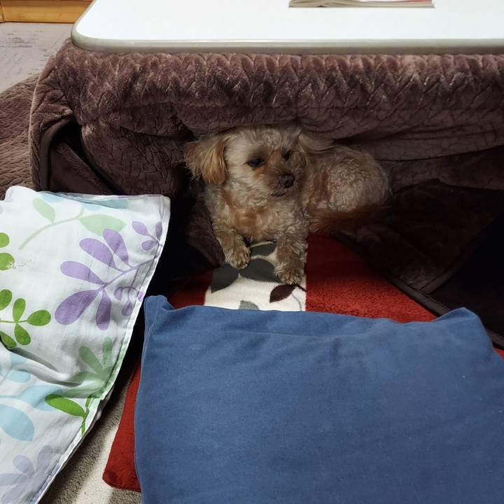 Bde4b8b9 7244 4c95 9e03 b89029cd6397 1733922323874