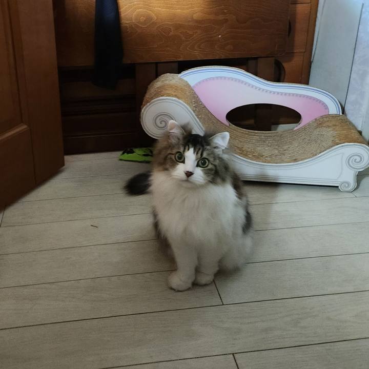 Bde4dac6 7315 4309 b61f 5ea05b07e9ea 1771337853791