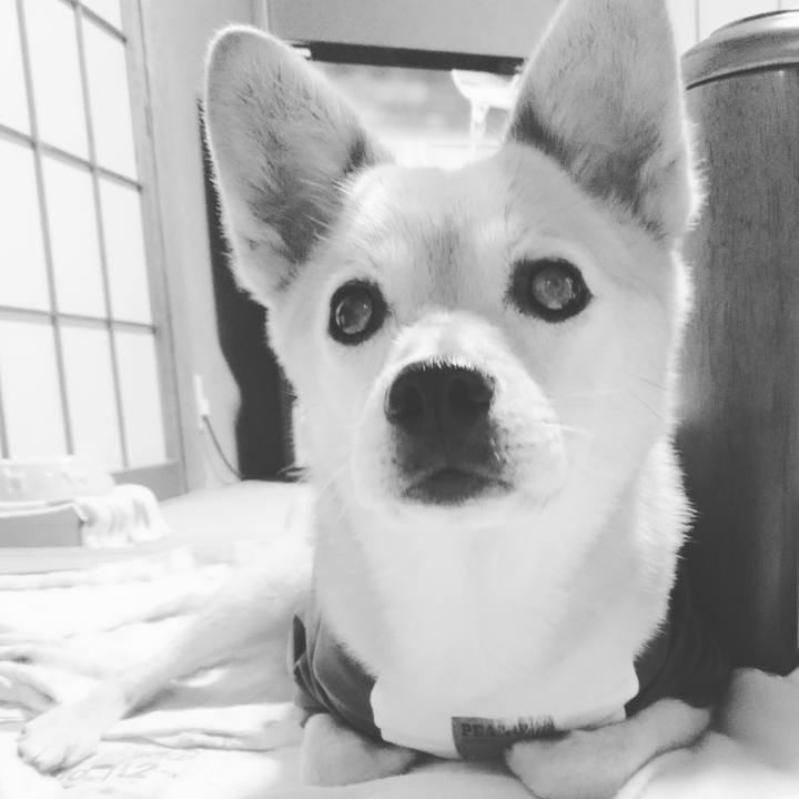 Bde53f87 d0f8 4650 8ca9 384cfd86c25d 1596204854177