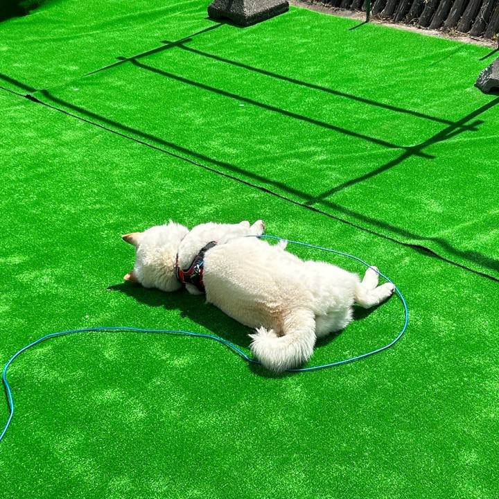 Bde58876 1932 45f8 bfde 72f291879c6f 1714358765700