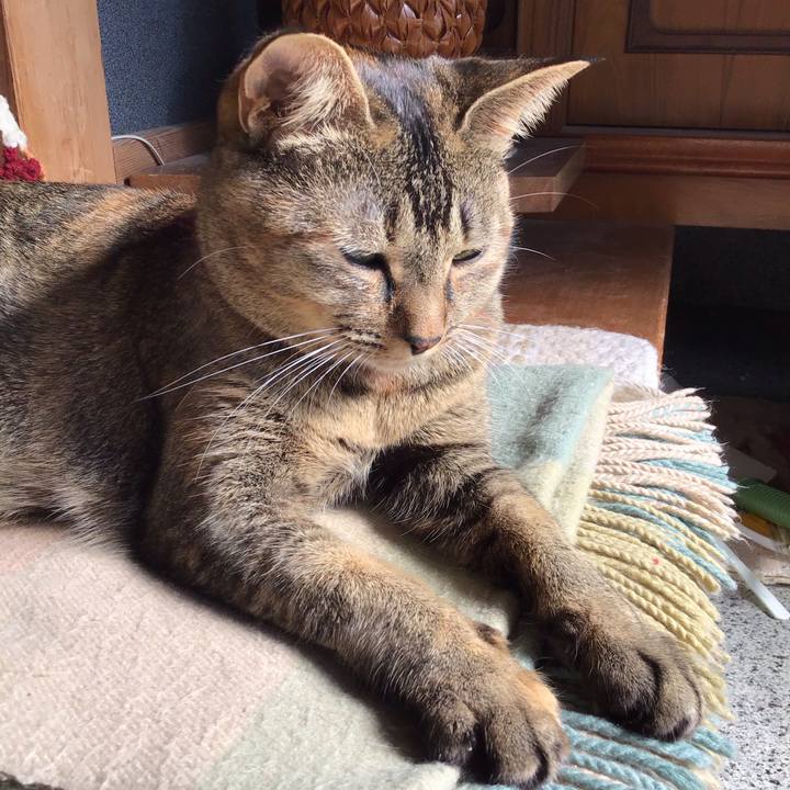 Bde621a9 e3b4 4279 895a f192f26a8a1f 1603592912896