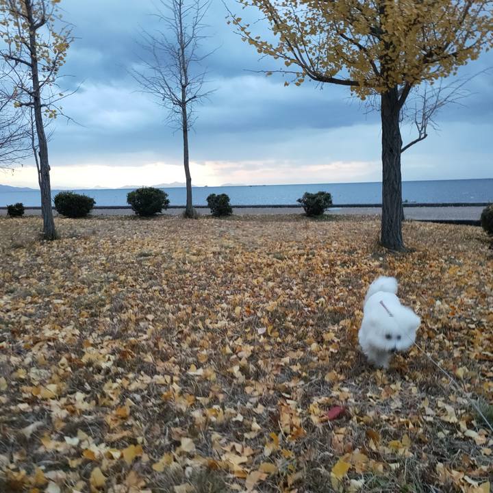 Bde6aa0e 3f4a 45ab a32d e1340637b58f 1764318753089