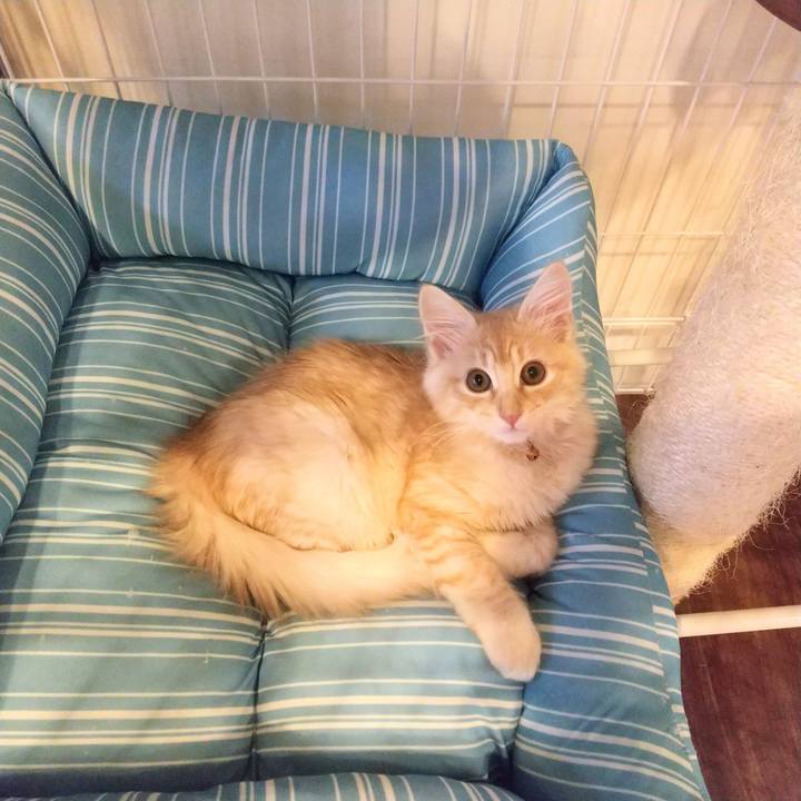 Bde6ca0d 7c9d 4bbc 8498 6f08d74e54ae 1606635982136