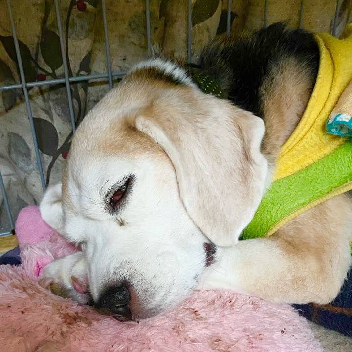 Bde6dcca 8a8b 4920 93a1 9aaff0457517 1668172240642