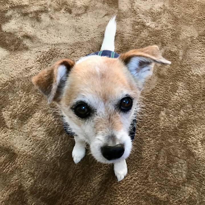 Bde6ed42 0bee 4ab7 874d 1863dad36172 1644189367798