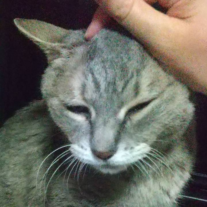 Bde71d28 3b4b 4742 92d5 dd4e96a135a8 1725573120959