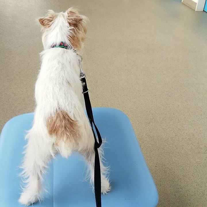 Bde767cb 5d3f 4775 a017 76ab8080b50d 1549855603503