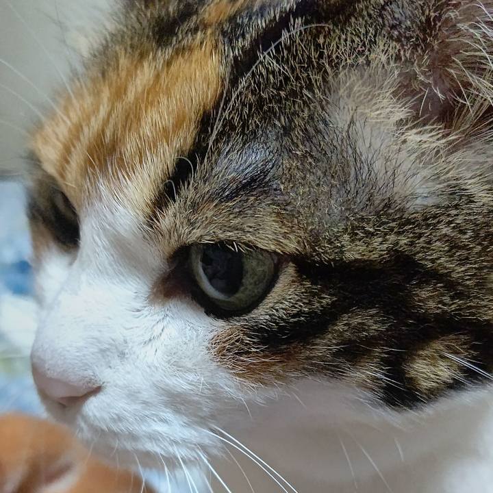 Bde7913c 48fe 411d 932b 750a66db28cf 1621725416903