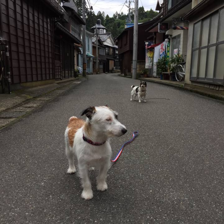 Bde7ae1b db47 4c08 8369 af0a21b35d1f 1755407747035