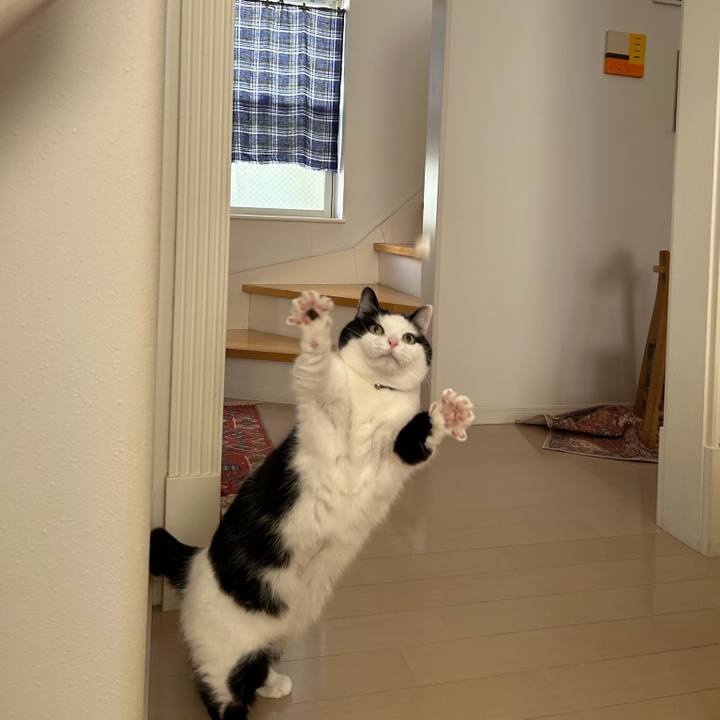 Bde7dd1b 387d 4d7a 8a85 6e008baaabab 1769555699669