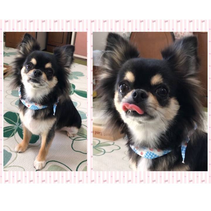 Bde7e733 878a 4992 ab88 497d6e613f5f 1572925806818