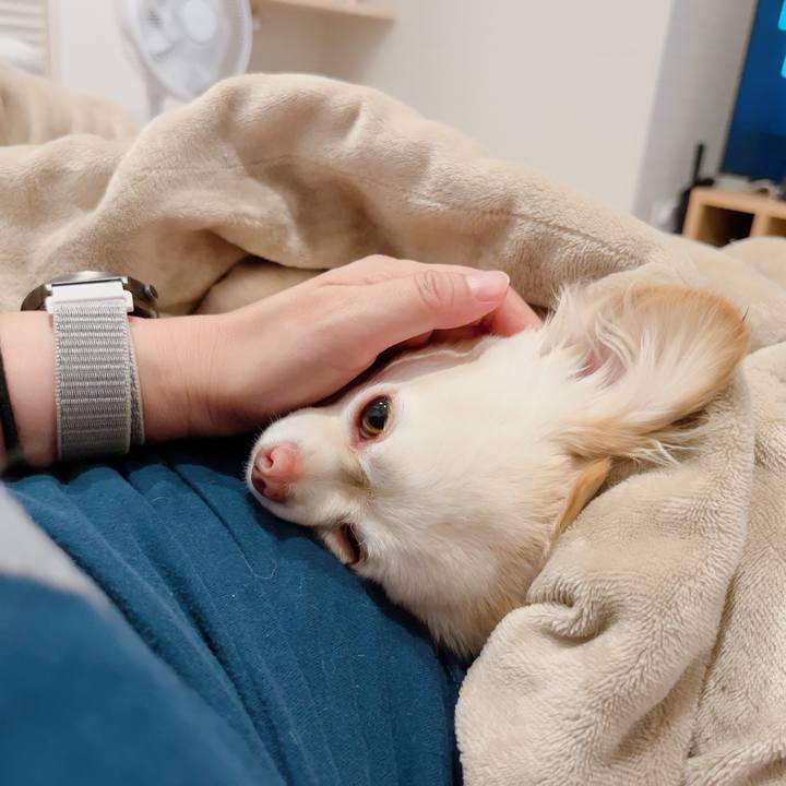 Bde7ea51 a075 4d4d bbbb 82a41c87806c 1720521832202