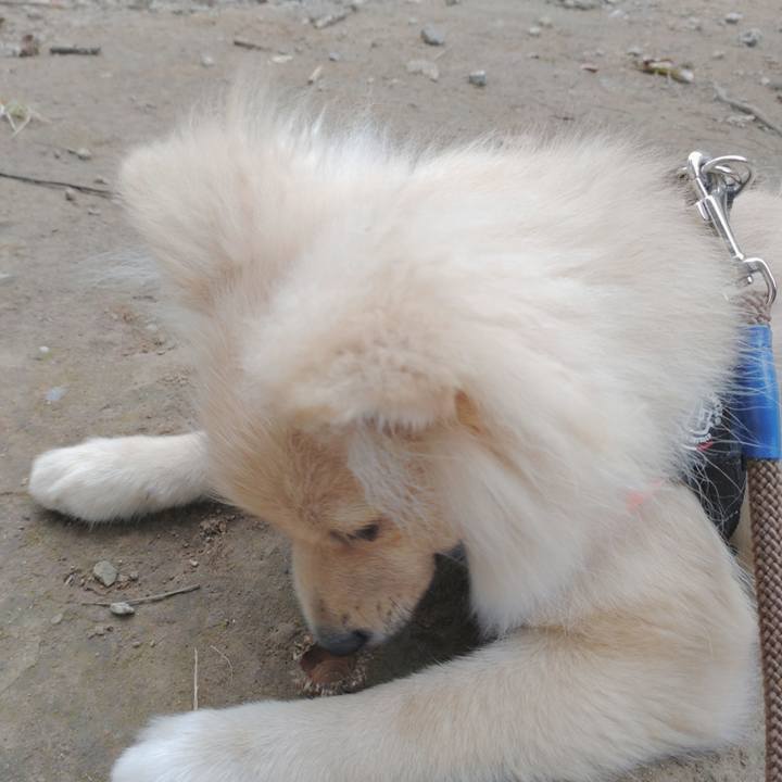 Bde81aca 5d9c 4acf 826d c8c6e3a5a958 1729904759284