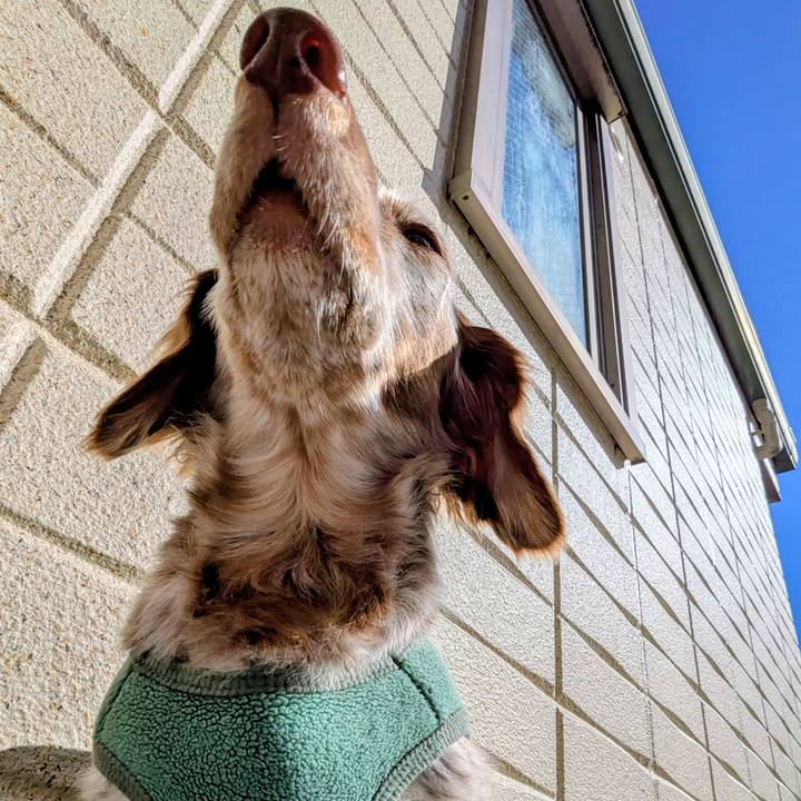 Bde88cdd 4ff5 42a4 b1f9 5d2ab2213b0f 1767845550449