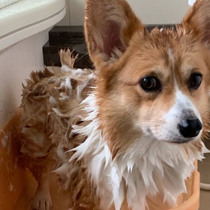 Bde89093 082e 4f6c 956d 36cf75e7a521 1571555924229