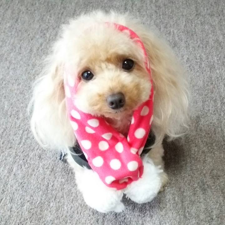 Bde89ad4 e7cc 4bcd 8c51 364380fec746 1536837676383