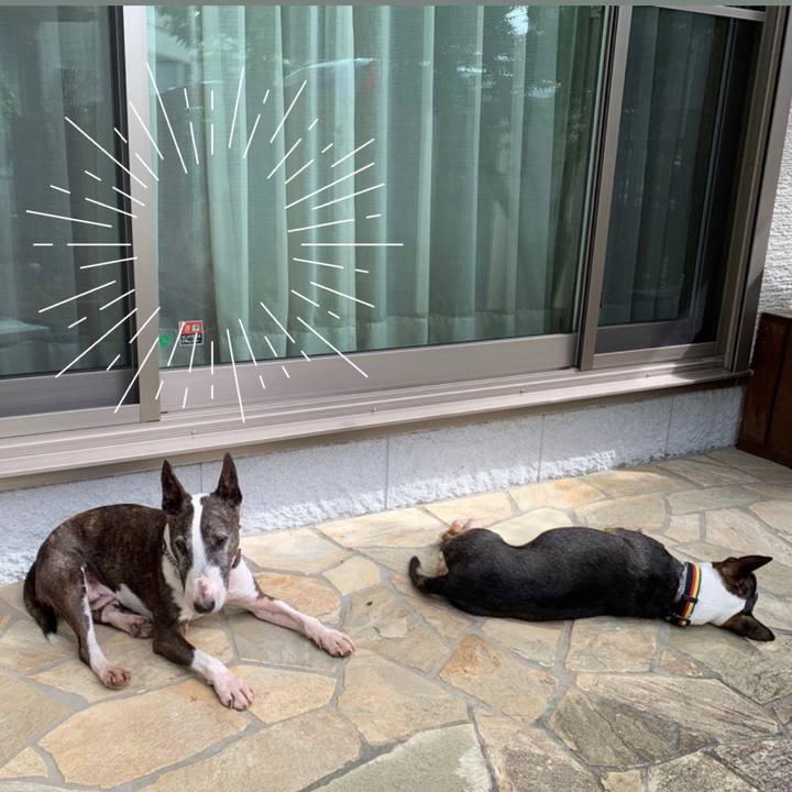 Bde8d3ca 4897 43f4 8ffa 66fb7269a226 1599371886611