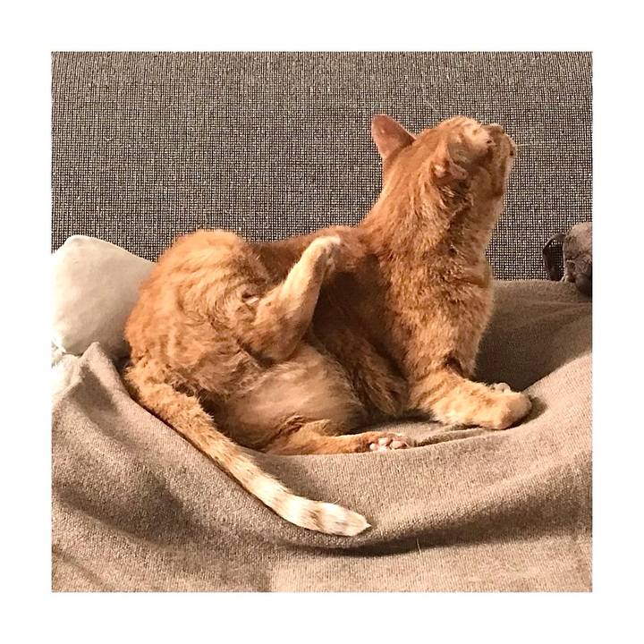 Bde8f789 cd77 4b66 a1bb 477154b13a32 1636975444424